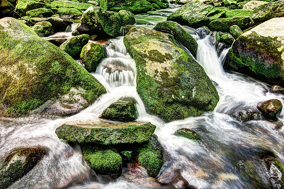 1F4A8001_SM_Moss_x1600_W