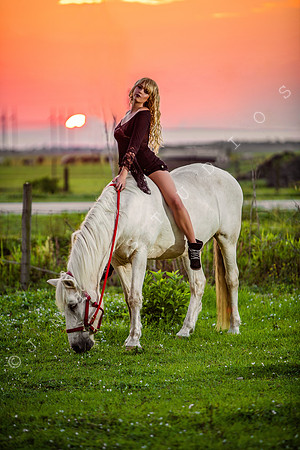 1F4A2640_PS_FF