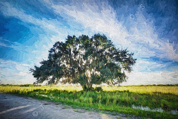 Old Oak Painting