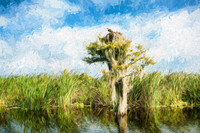 Florida Osprey Painting
