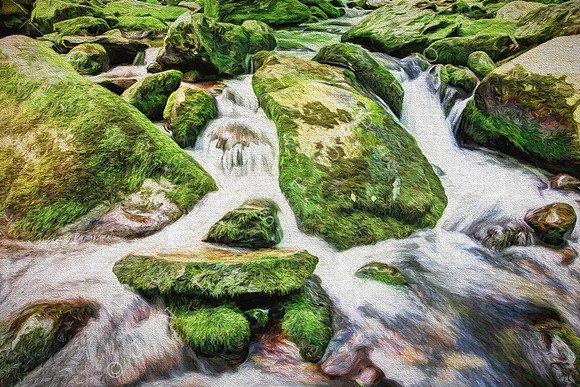 Smoky Mountain Moss Painting