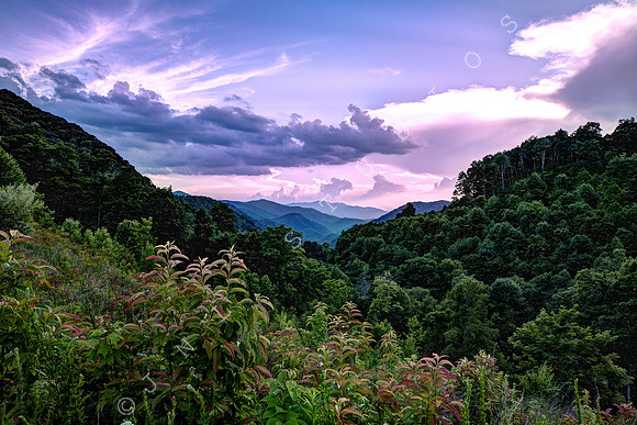 Smoky Mountains  Photo