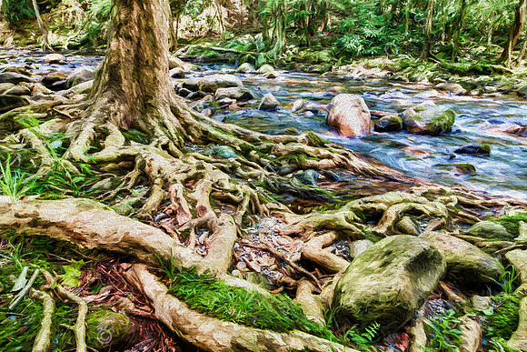 Smoky Mountain Roots Painting